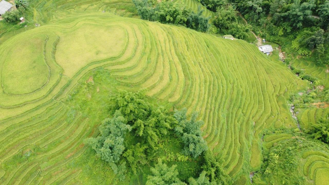 May Homestay Sapa 외부 사진